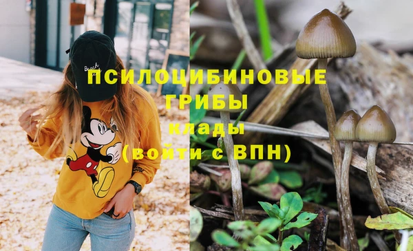 герыч Алексин