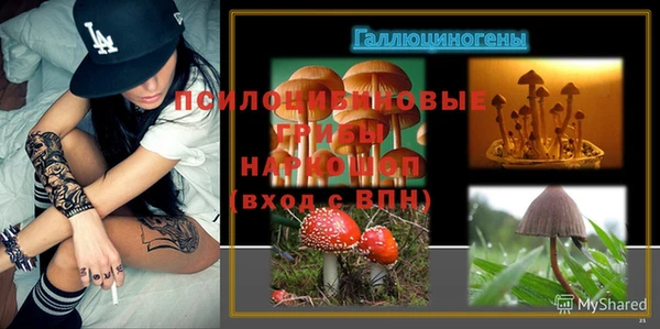 бутират Алексеевка