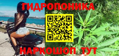 ГАЛЛЮЦИНОГЕННЫЕ ГРИБЫ Новозыбков