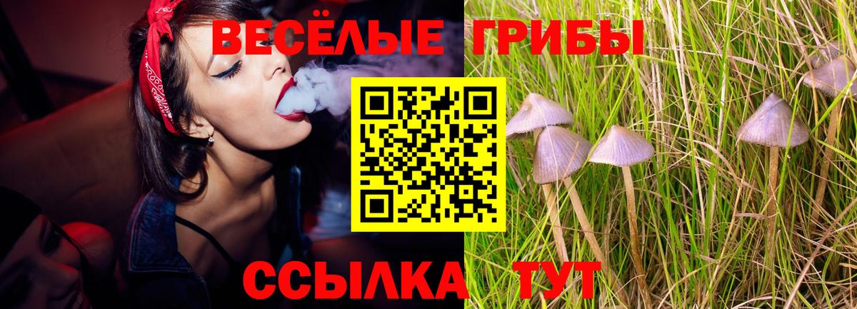 хочу наркоту  Вход с VPN  Рубцовск  Псилоцибиновые грибы прущие грибы  Галлюциногенные грибы Magic Shrooms 