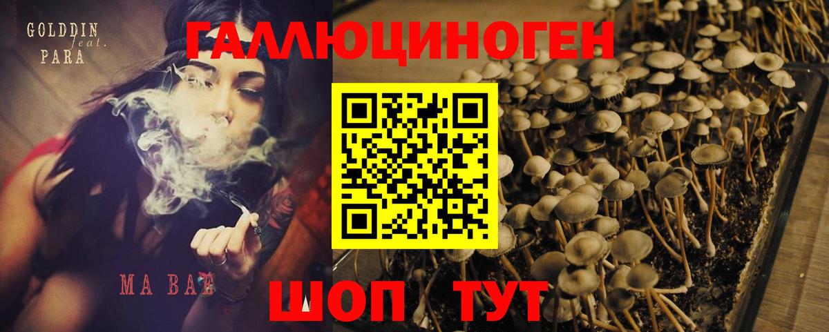 Псилоцибиновые грибы прущие грибы Рубцовск